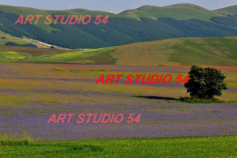002 Castelluccio di Norcia