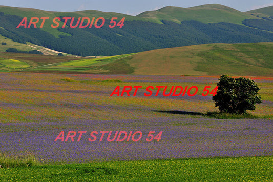 002 Castelluccio di Norcia