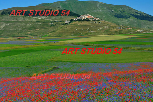 007 Castelluccio di Norcia