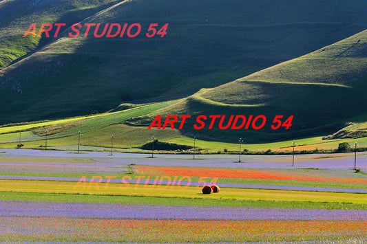 010 Pian Grande Monti Sibillini
