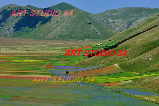 011 Pian Grande Monti Sibillini
