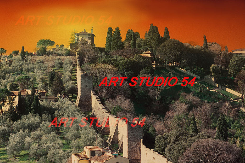 005 Forte di Belvedere