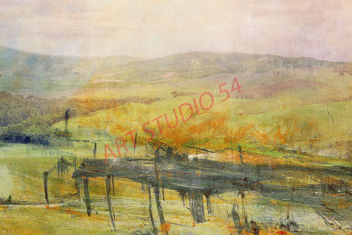 Photopicture from Florence (IT) 005