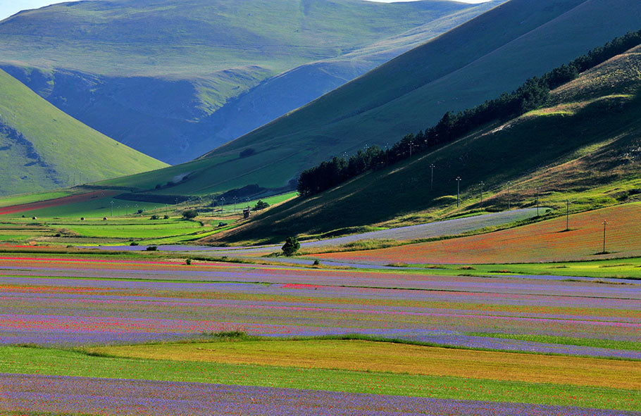 Monte Vettore Castelluccio di Norcia (Perugia)