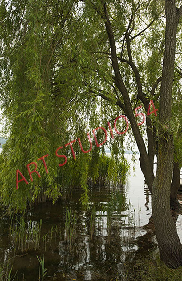 Fiume Ticino (Pavia)
