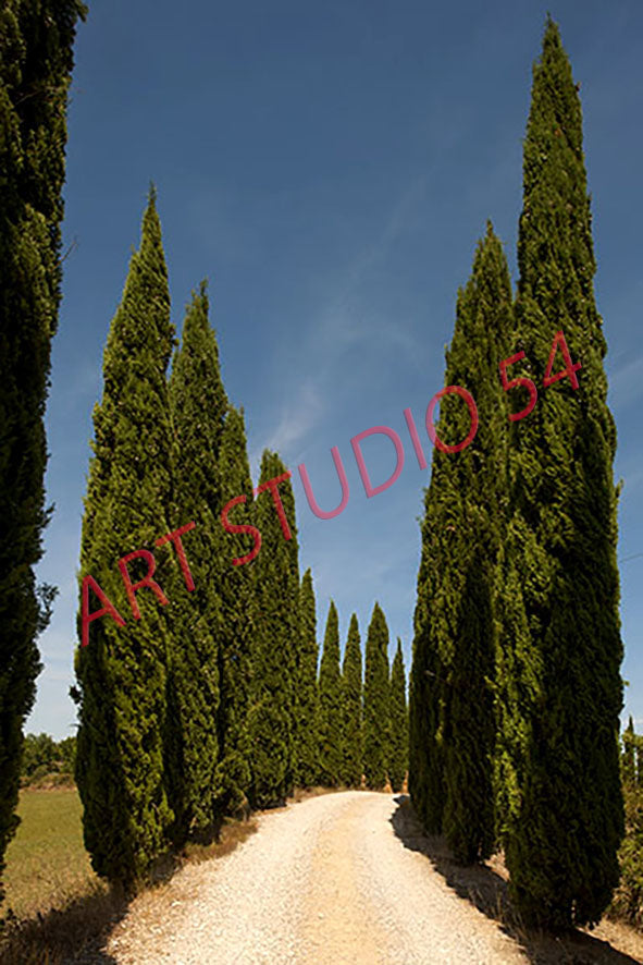 Panorama (Siena)