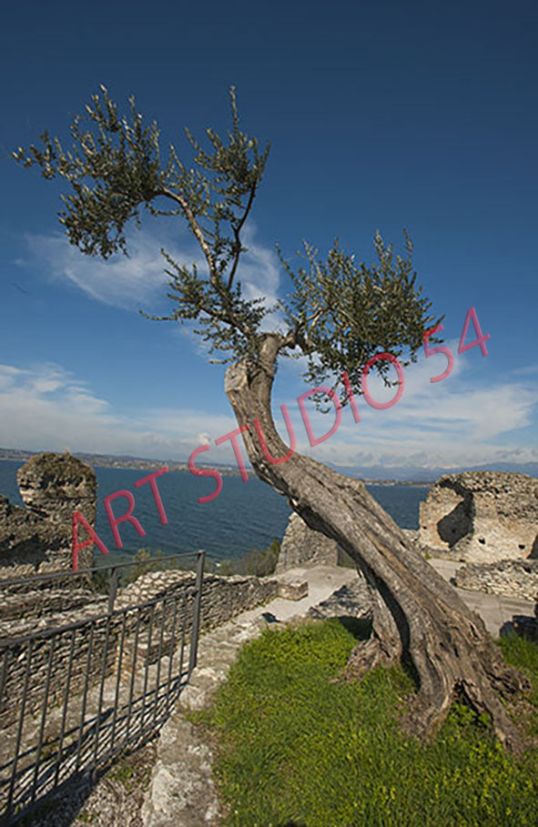 Grotte di Catullo (Brescia)