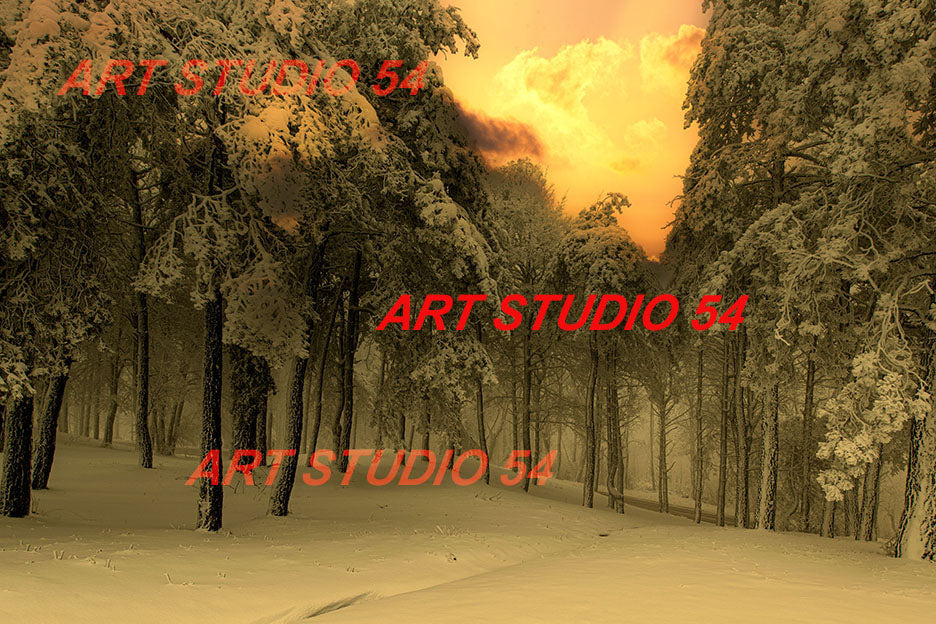 020 Passo della Futa