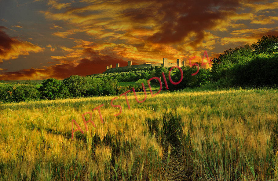 Monteriggioni (Siena)