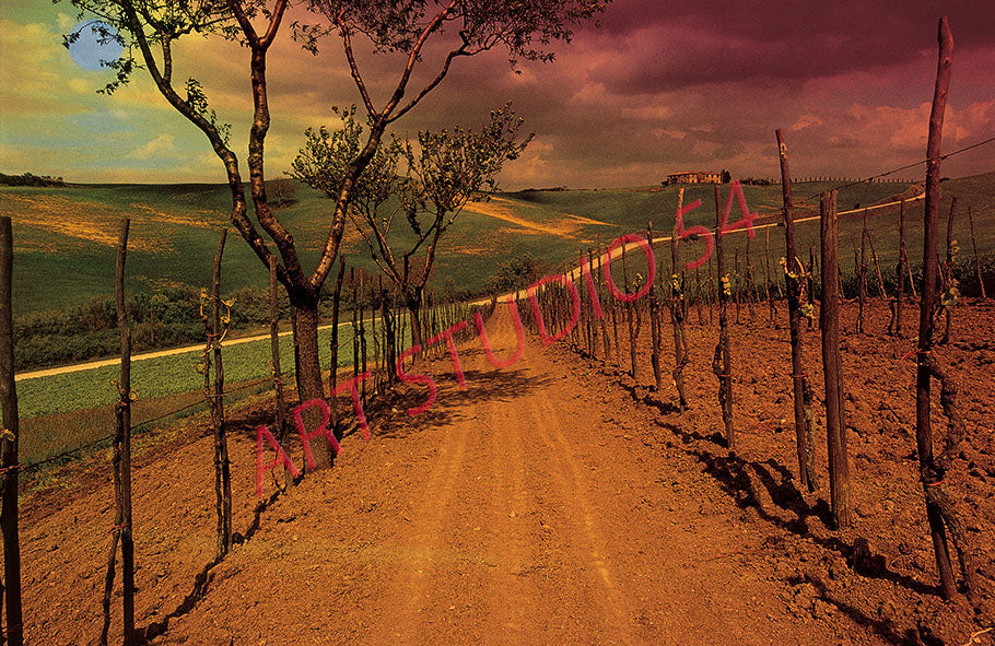 Paesaggio Val d'Orcia (Siena)