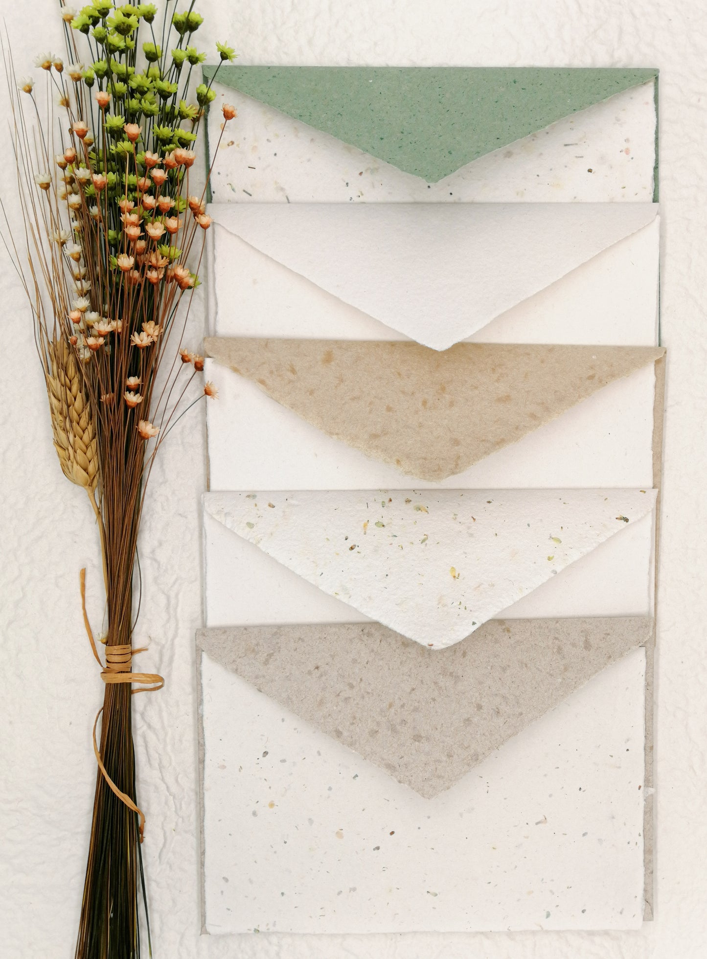 Kit of 10 Envelopes with Natural Line Card