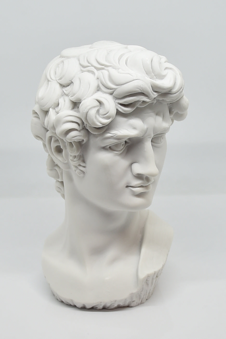 Testa David bianca 17cm