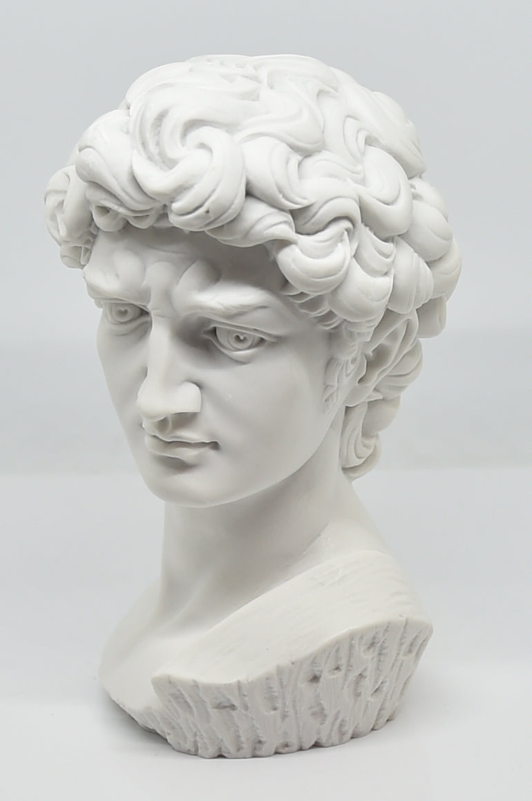 Testa David bianca 17cm
