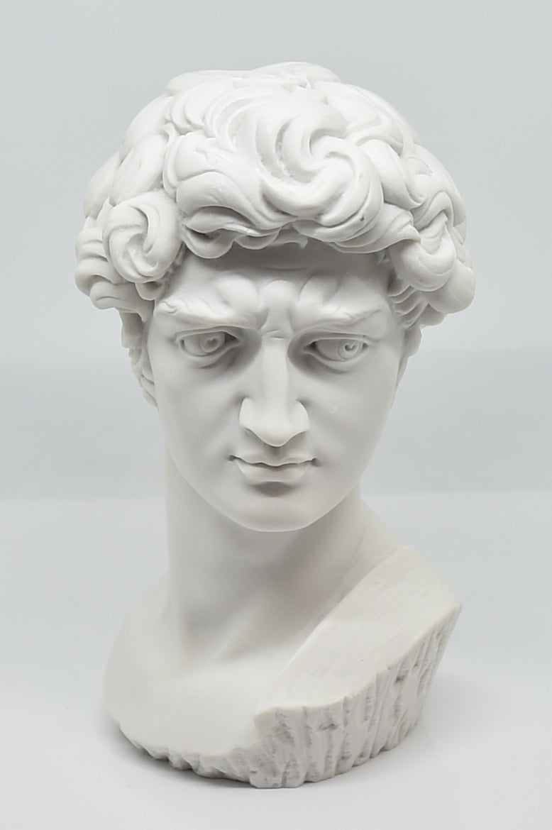 Testa David bianca 17cm