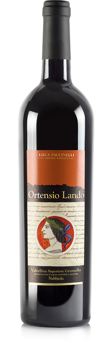 Valtellina wines 12 bottles