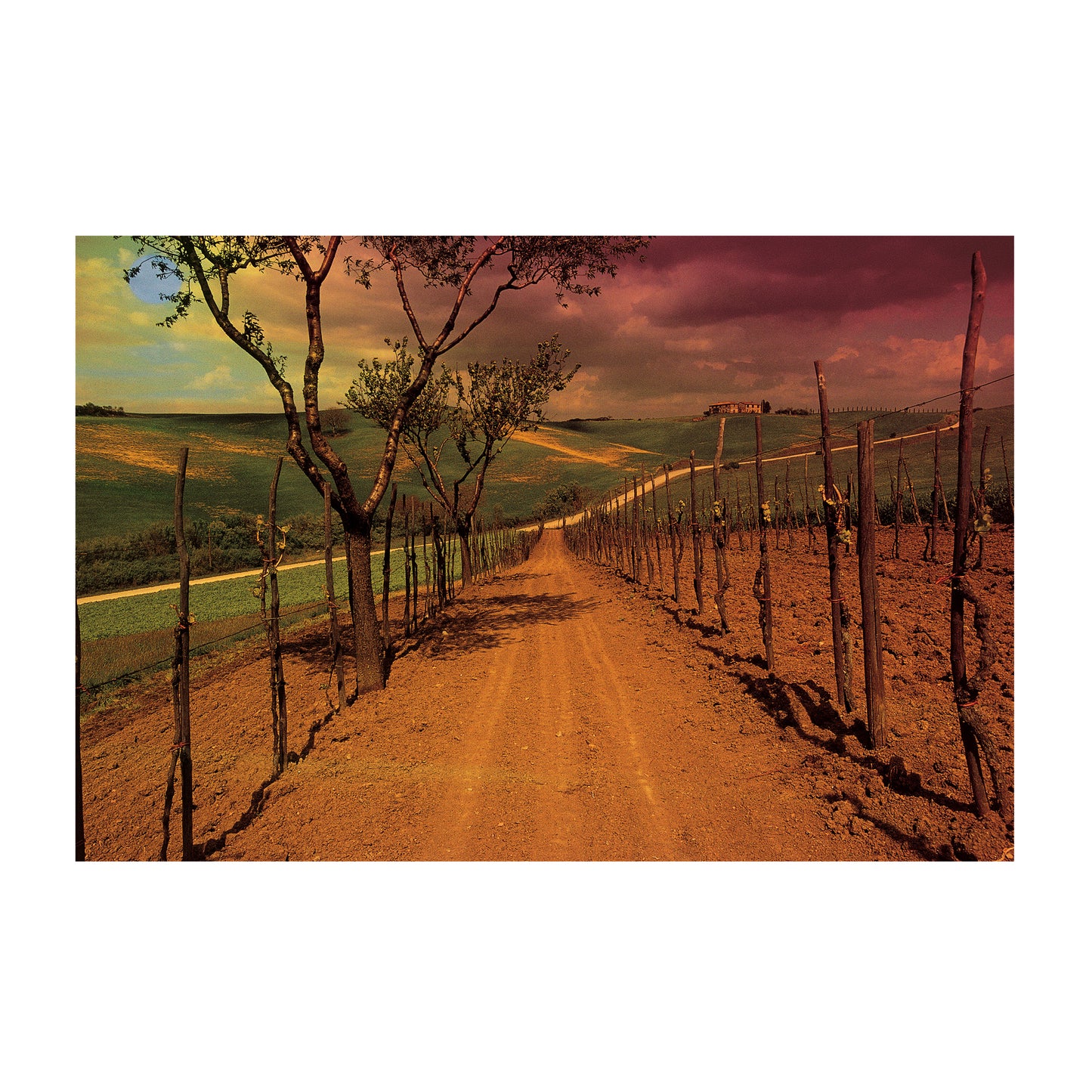 VAL D'ORCIA - PICTURE GALLERY 2 by Gino Cianci, Photographer