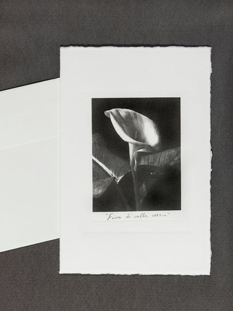 Kit of 3 Cards on Cotton Paper
