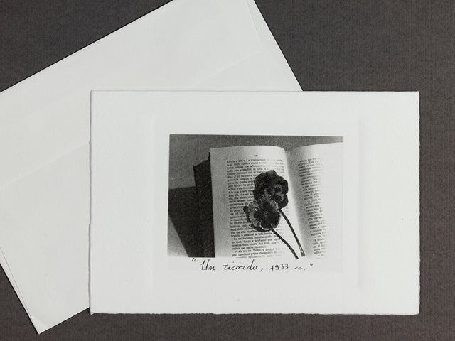 Kit of 3 Cards on Cotton Paper