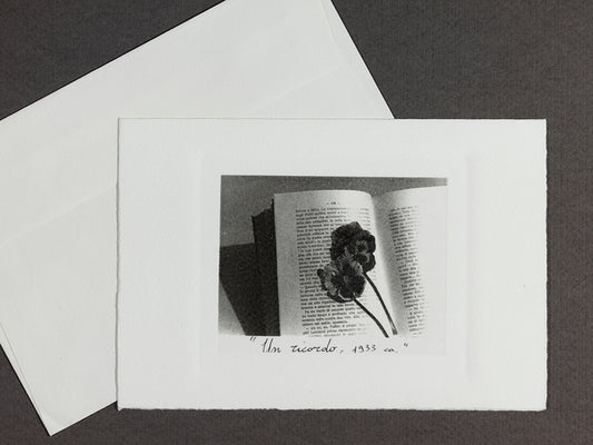 Kit of 3 Cards on Cotton Paper