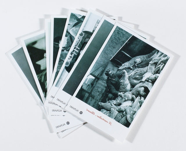 4 sets of Alinari Vintage Postcards 12 each (Children, Cars, Flowers, Animals)- Tot 48 Cards