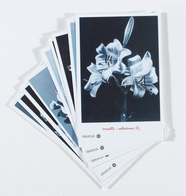 4 sets of Alinari Vintage Postcards 12 each (Children, Cars, Flowers, Animals)- Tot 48 Cards