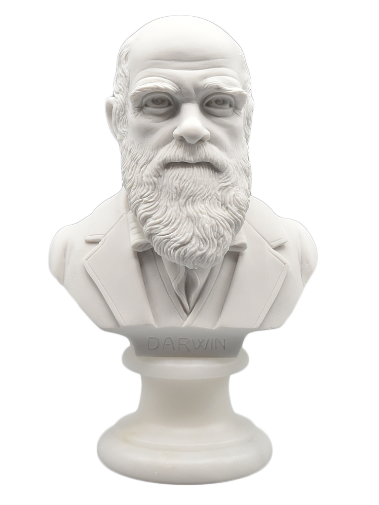Darwin