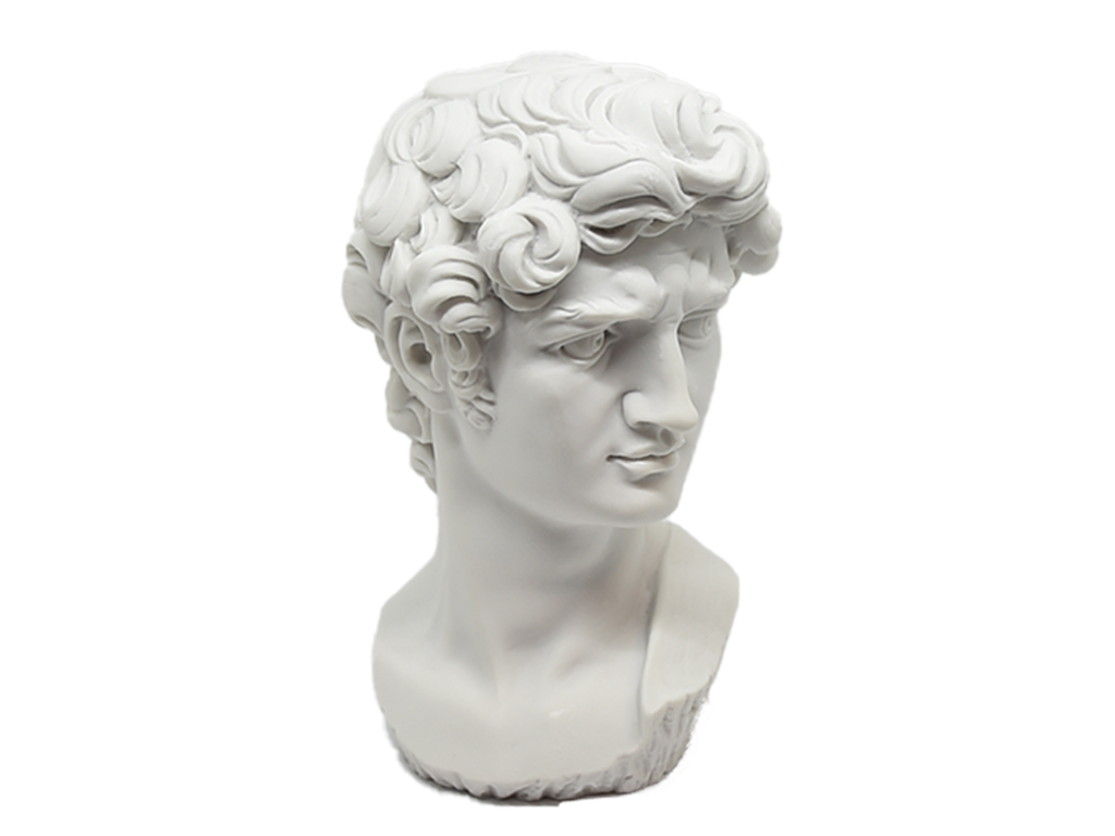 Testa David bianca 17cm