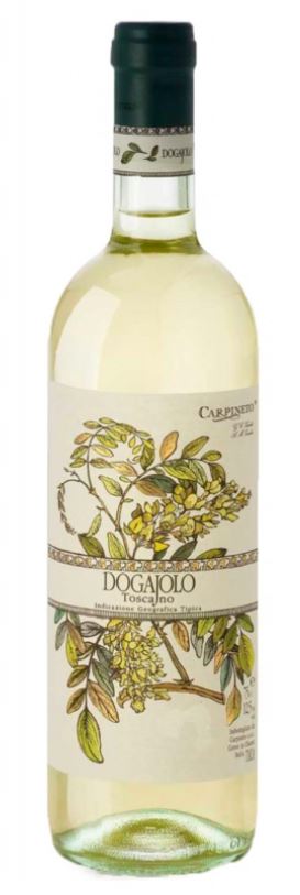 Discover Tuscan Wines