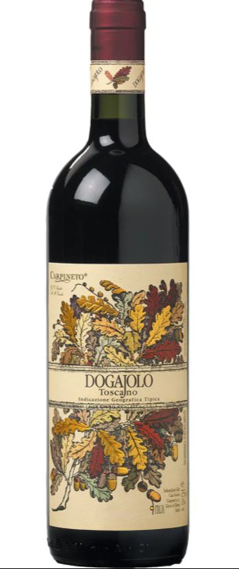 Discover Tuscan Wines