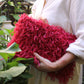 CHERRY RED CLUTCH BAG