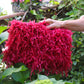 CHERRY RED CLUTCH BAG