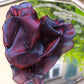 BURGUNDY ORGANZA NECKLACE