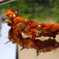ORANGE BOHEMIAN BRACELET