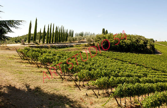 Panorama dall'Eroica (Siena)