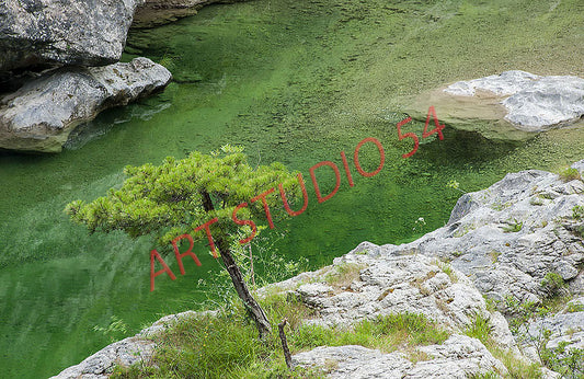 Torrente Meduna (Pordenone)