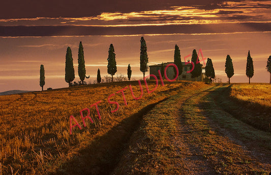 Paesaggio Val d'Orcia (Siena)