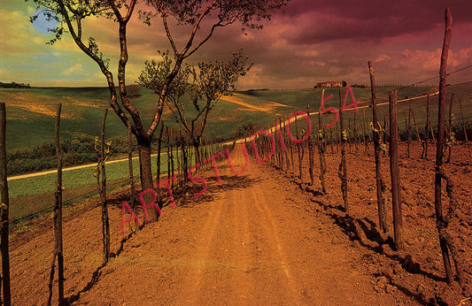 Paesaggio Val d'Orcia (Siena)