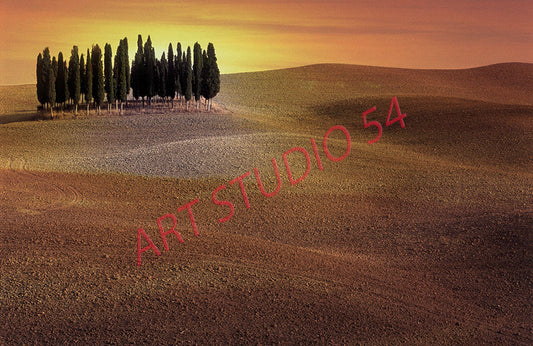 Paesaggio Val d'Orcia (Siena)