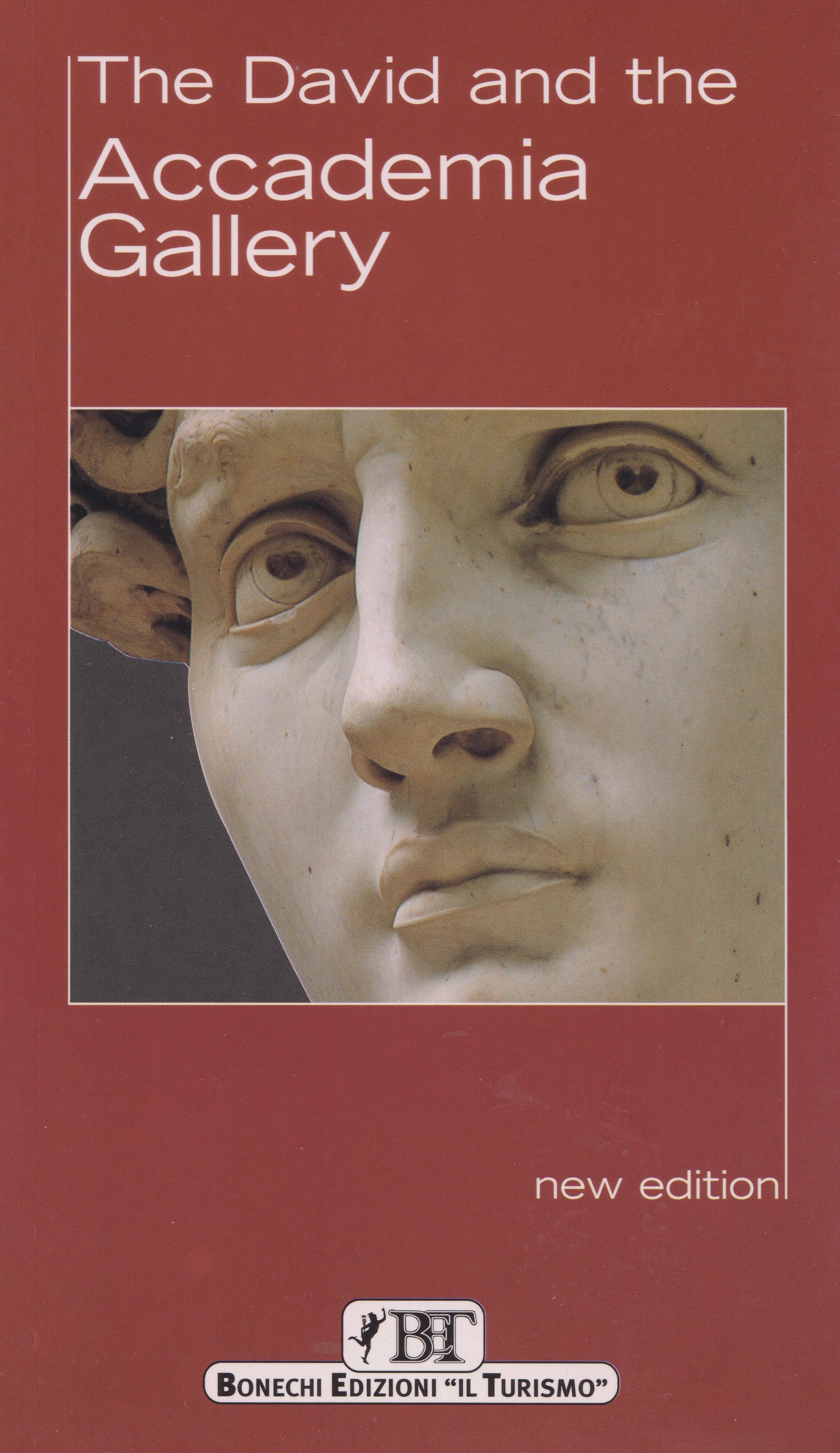 The David and the Accademia Gallery -  English Edition