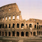 The Colosseum and the Life of the Gladiators