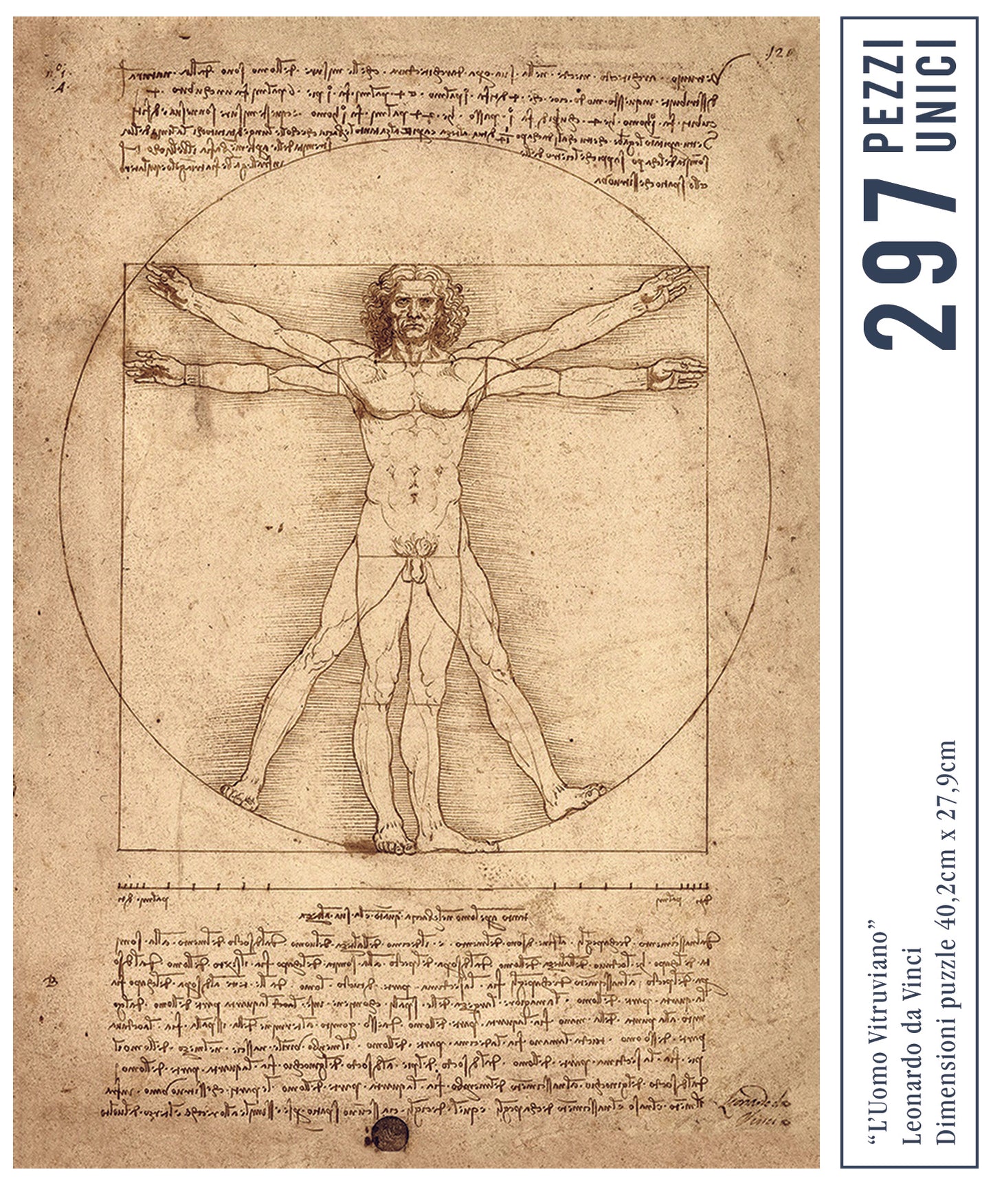 Leonardo - Uomo Vitruviano PUZZLE