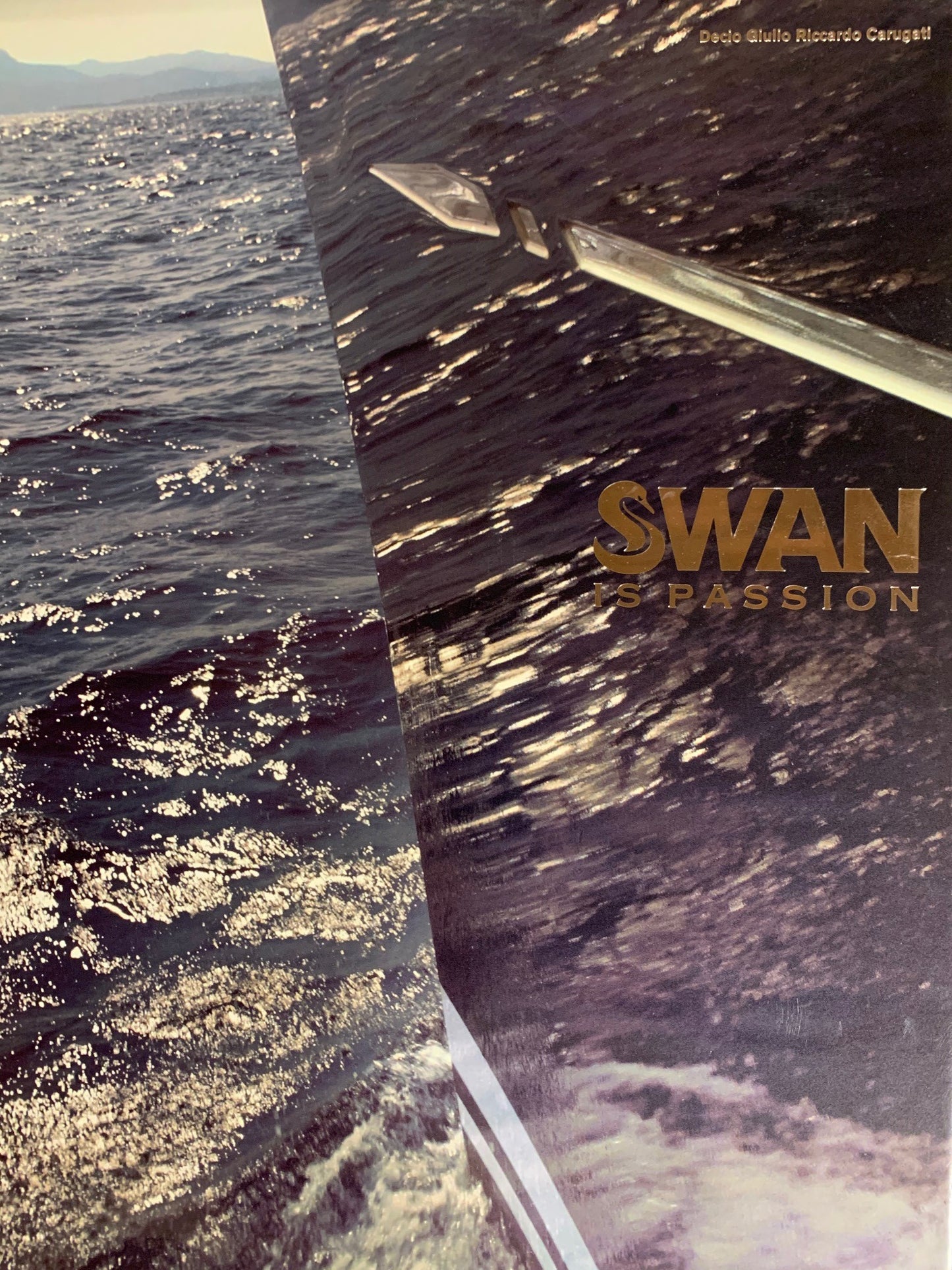 Swan is passion