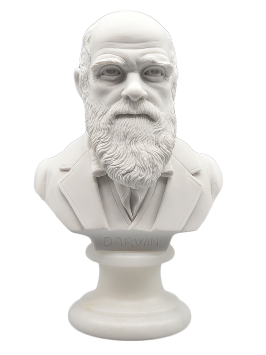Darwin